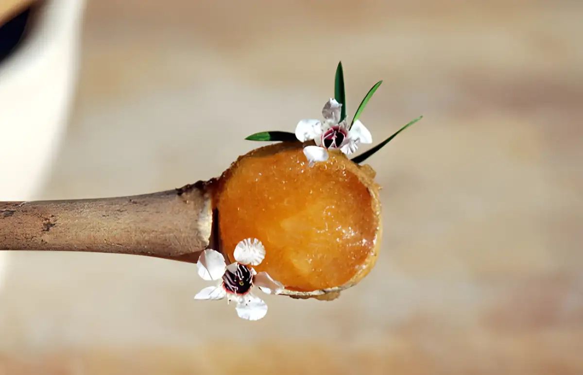 فواید عسل در زمستان برای سیستم ایمنی