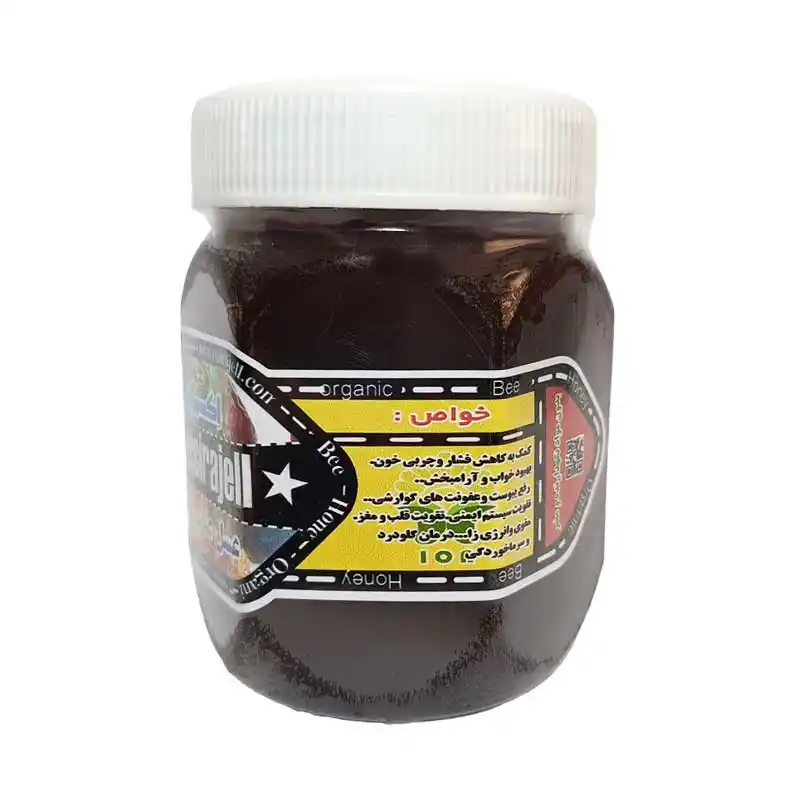 عسل عناب بهاره ارگاینک – نیم کیلویی برند اکسیراژل