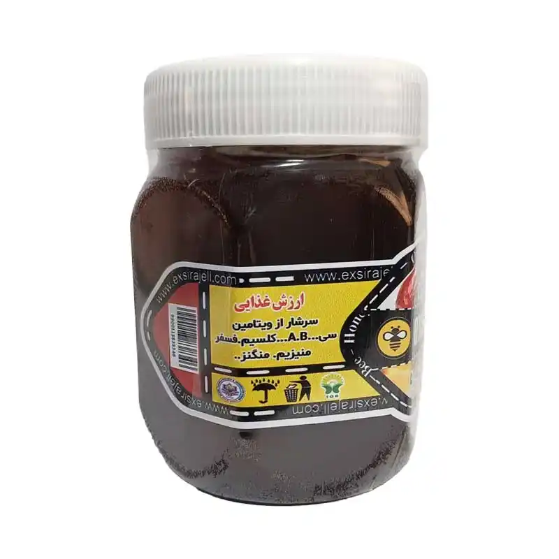عسل عناب بهاره ارگاینک – نیم کیلویی برند اکسیراژل