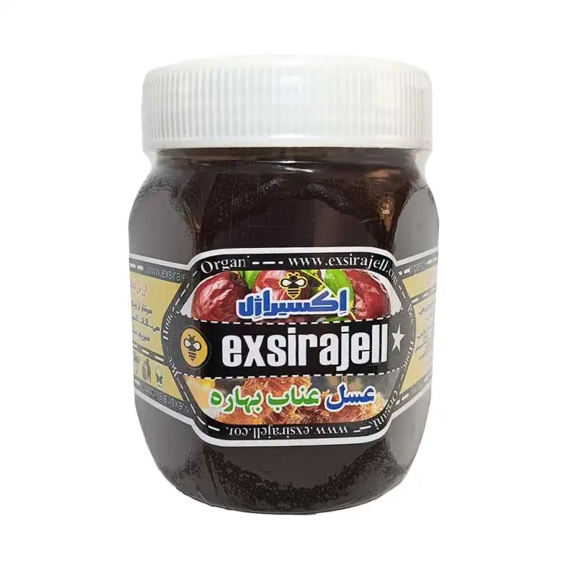عسل عناب بهاره ارگاینک – نیم کیلویی برند اکسیراژل