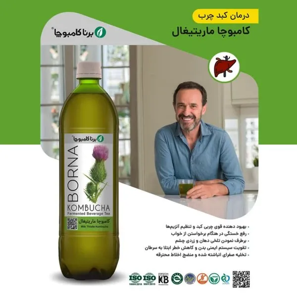 نوشیدنی کامبوچا ماریتیغال برنا کامبوچا – ۱ لیتر برند اکسیراژل