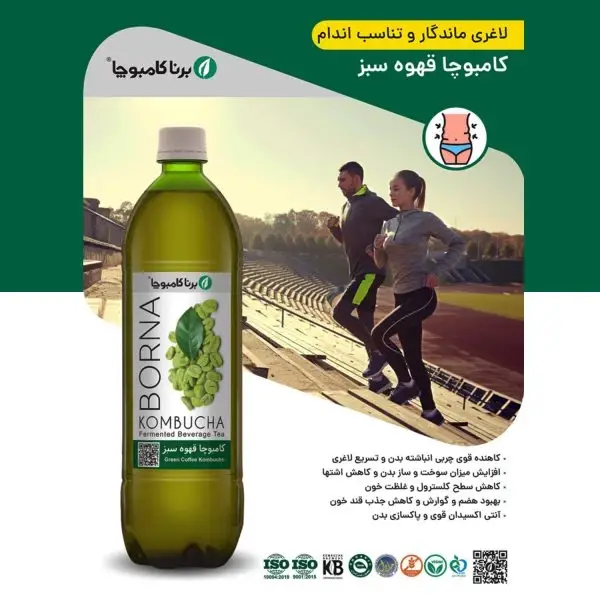 نوشیدنی کامبوچا قهوه سبز برنا کامبوچا – ۱ لیتر برند اکسیراژل