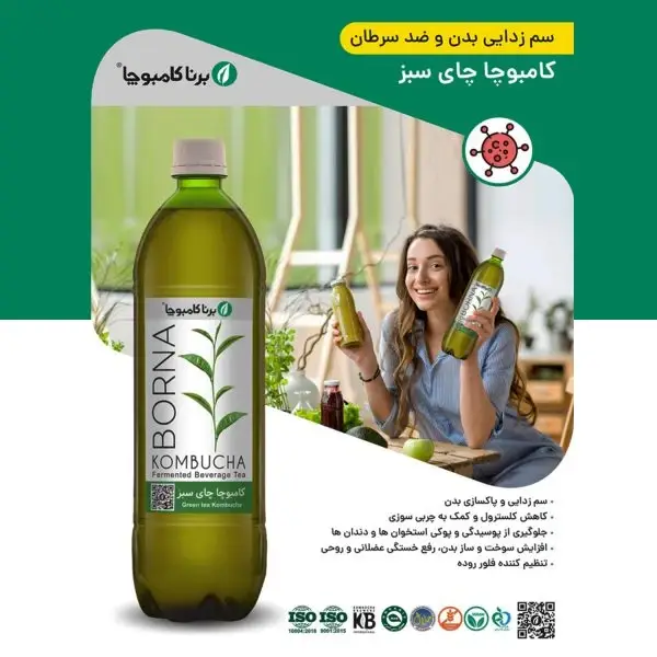 نوشیدنی کامبوچا چای سبز برنا کامبوچا - 1 لیتر برند اکسیراژل