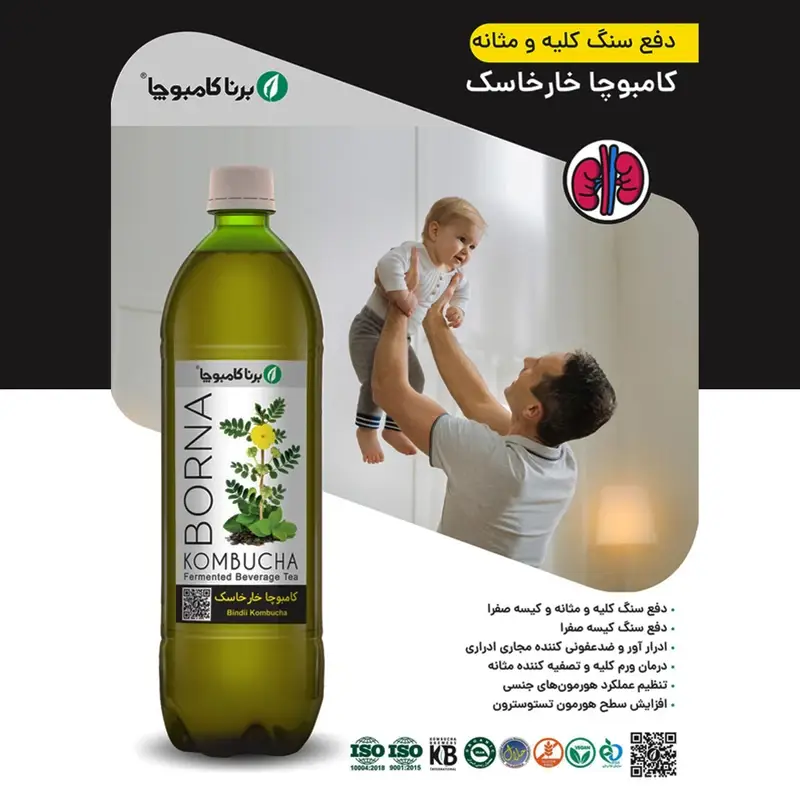 نوشیدنی کامبوچا خارخاسک برنا کامبوچا - 1 لیتر برند اکسیراژل