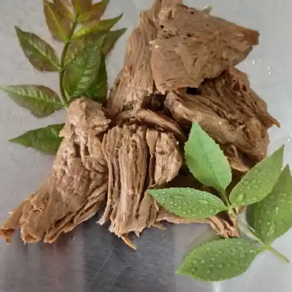 گوشت قرمز گیاهی بر پایه گندم | 330 گرم برند اکسیراژل