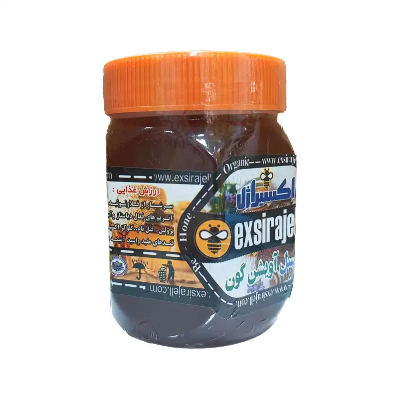 عسل آویشن و گون ارگانیک | نیم کیلوی برند اکسیراژل