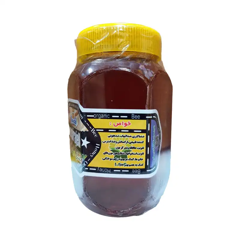 عسل مریم گلی ارگانیک | یک کیلویی برند اکسیراژل