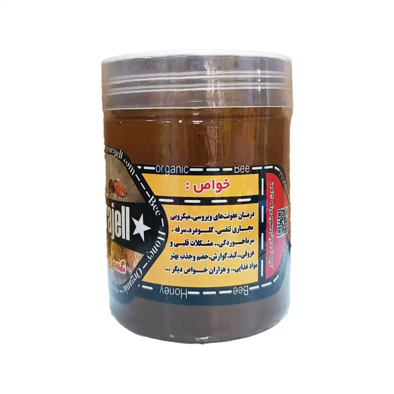 عسل صبحانه چهل گیاه (نیمه طبیعی) - نیم کیلویی برند اکسیراژل