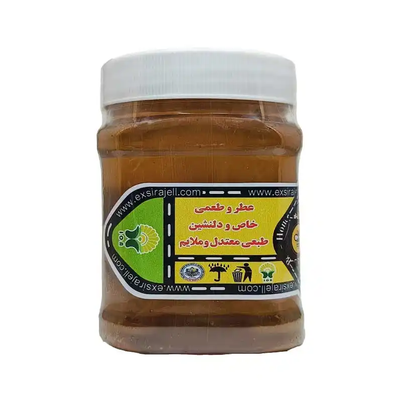 عسل گشنیز طبیعی و ارگانیک - نیم کیلویی برند اکسیراژل