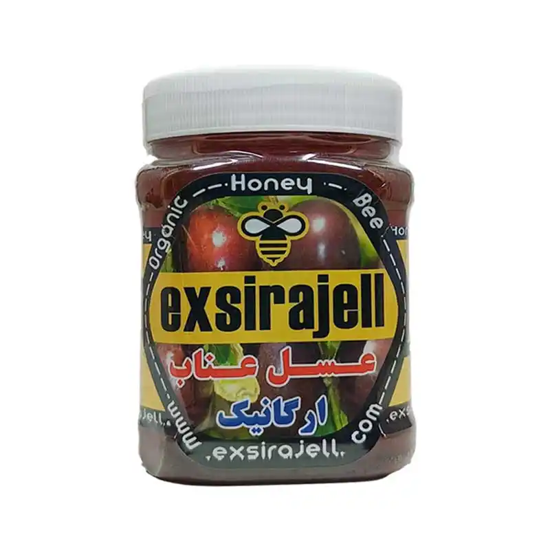 عسل عناب ارگانیک - نیم کیلویی برند اکسیراژل