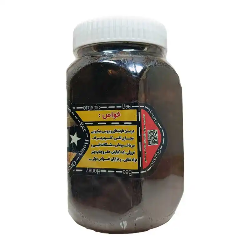 عسل چهل گیاه ارگانیک موم دار - یک کیلویی برند اکسیراژل
