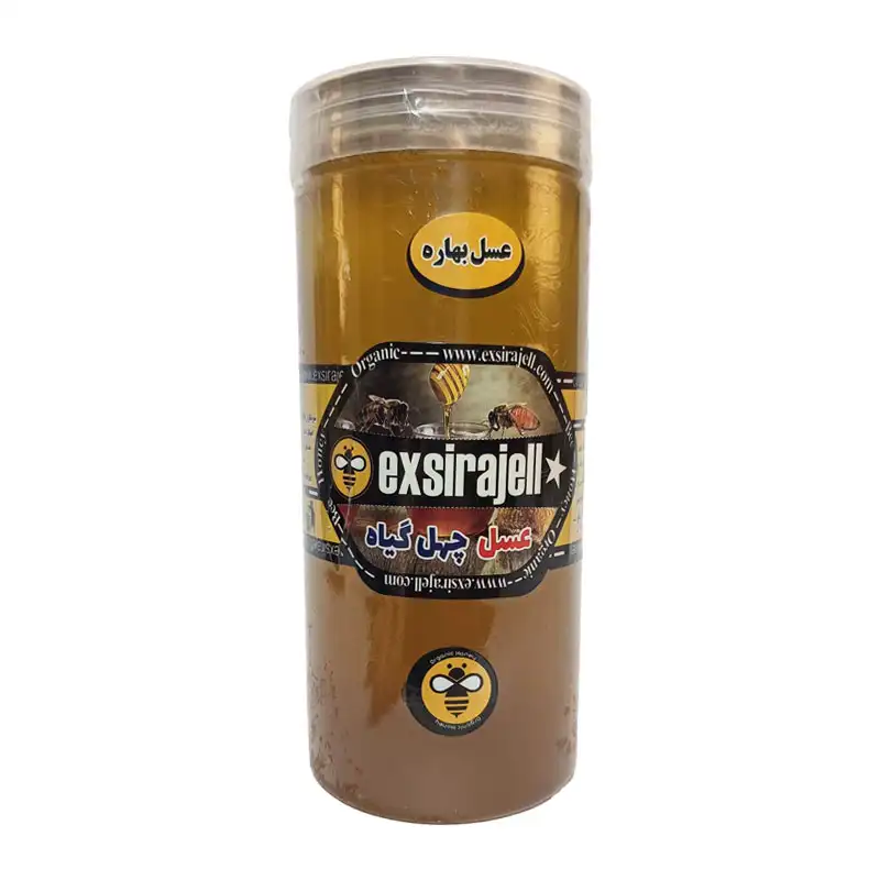 عسل صبحانه چهل گیاه (نیمه طبیعی) - یک کیلویی برند اکسیراژل